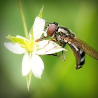 /album/morcata-sk/photolia-a02-jpg/