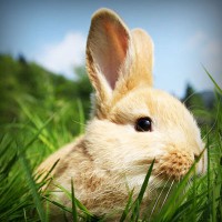 /album/morcata-sk/photolia-a03-jpg/