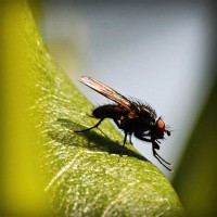 /album/morcata-sk/photolia-a04-jpg/