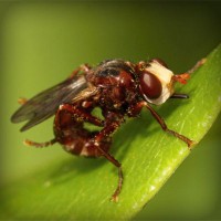 /album/morcata-sk/photolia-a06-jpg/