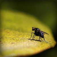 /album/morcata-sk/photolia-a07-jpg/