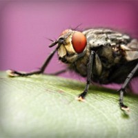 /album/morcata-sk/photolia-a08-jpg/